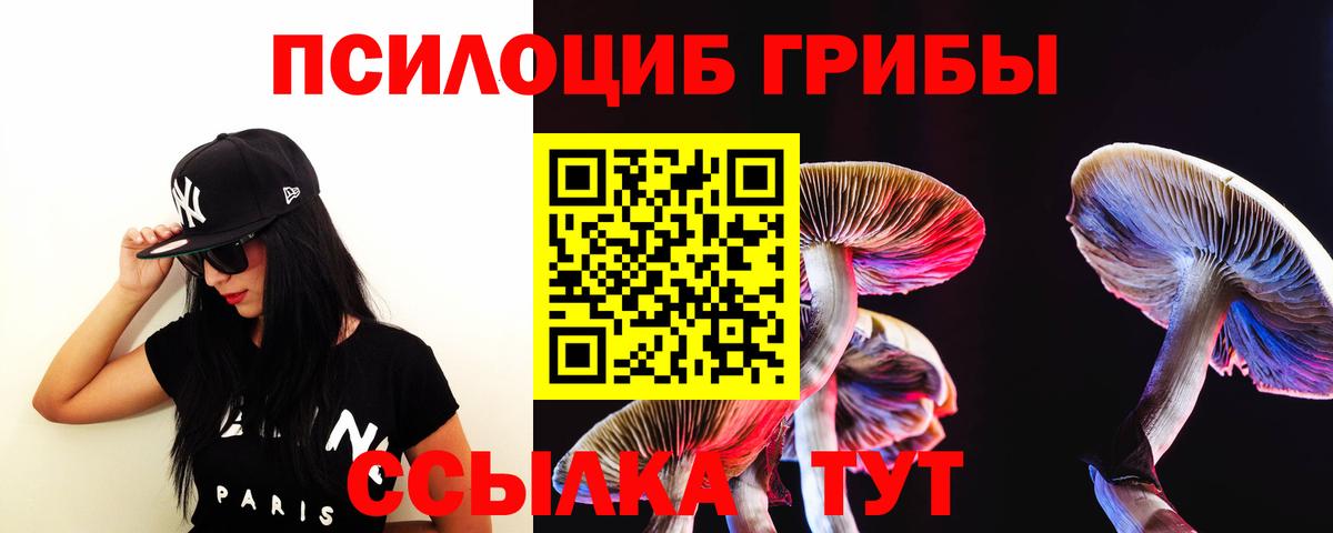 Избербаш  Псилоцибиновые грибы Magic Shrooms  Вход с VPN 